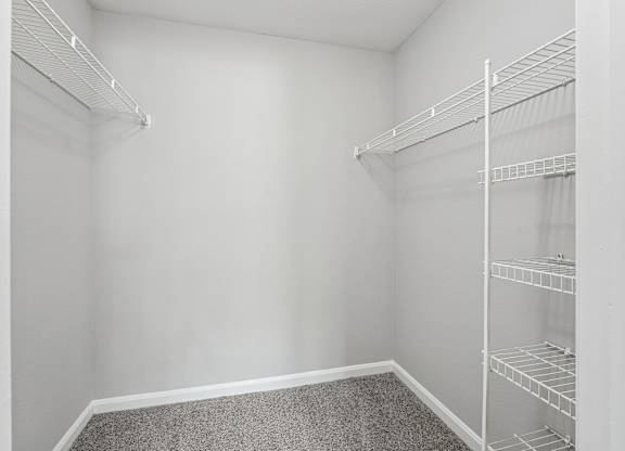 Empty white closet with shelves and carpeted floor.